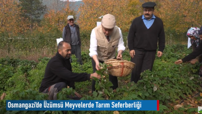 Osmangazi'den Haberler