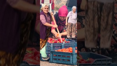 Osmangazi'de dolu dolu geçen 1 hafta