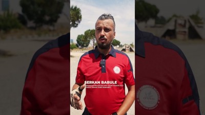 Yeni kahraman yükleniyor… ⏳🐾