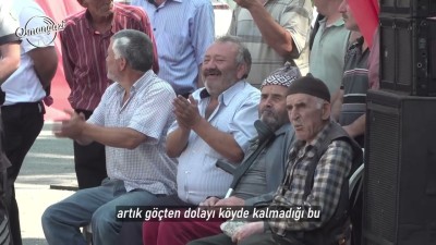 Mürseller eğlenceye doydu