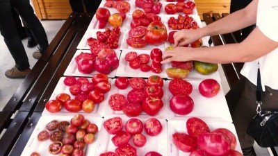 Tarımın Kalbi Osmangazi